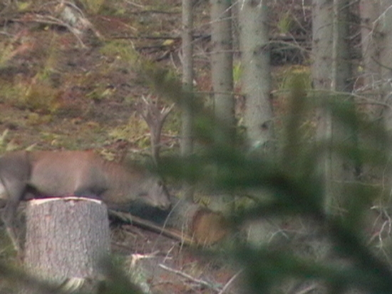 25.sep.2010