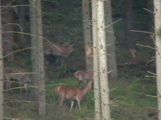 25.sep.2010