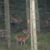 25.sep.2010