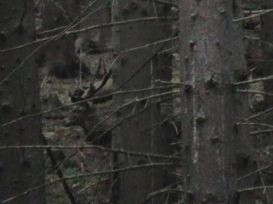 25sep.2010