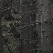 25sep.2010