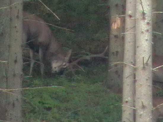 25.SEP.2010
