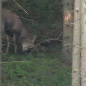 25.SEP.2010