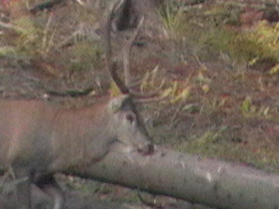 25.SEP.2010