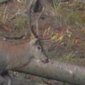 25.SEP.2010