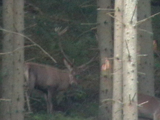 25.sep.2010