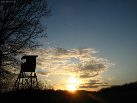 keď slnko zapadá a zver vychádza :)