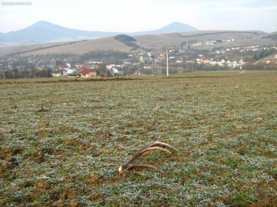 ranná prechádzka záhradou