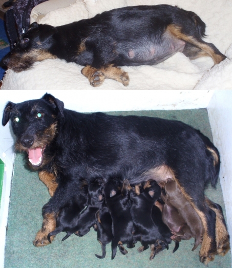 Kolik jich tam asi bude?Už to víme.Je jich 9 kluků.