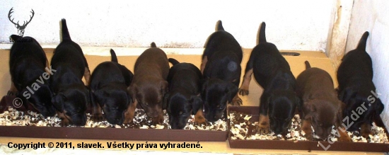 Jak k jídlu tak k dílu