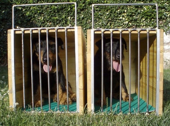 Body a Civy mají nové pokojíčky