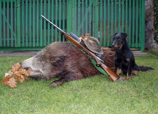 Silvestrovský prasátko a Civy