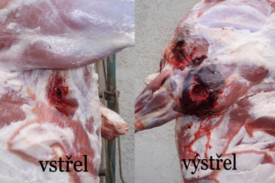 SAKO Super Hammerhead 11,7g.308w