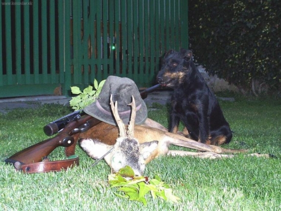 Juta od Slámy a 1. srnec v roce 2009