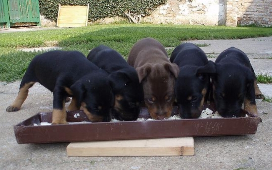 Jak k jídlu tak k dílu