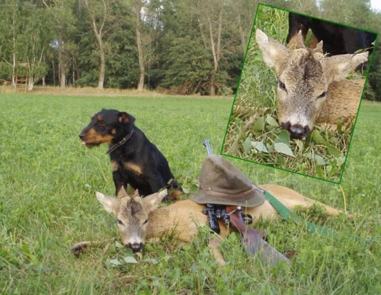 4. v letošním roce