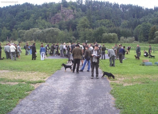 Výstava jagdteriérů Liebnitz Rakousko