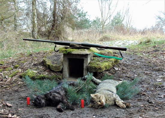 Betonová lapací nora