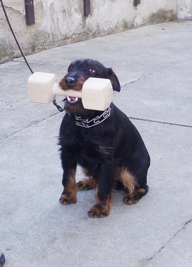 Začátky jsou těžké