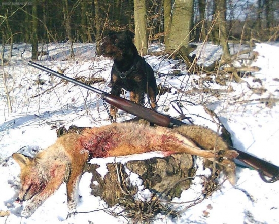 Úspěšné norování