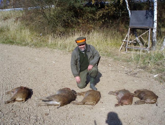 Devět ran a pět kousků