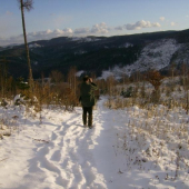 polovnik