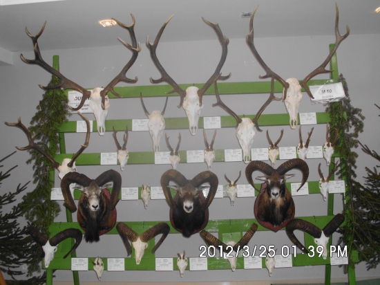 CHP Poprad - Lučivná