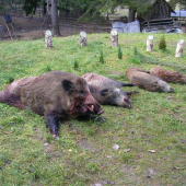 Vydarená spoločná polovačka