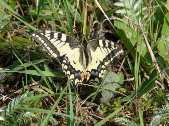 Ranné zohrievanie na slnku