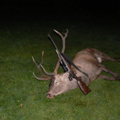 Ruja 2006