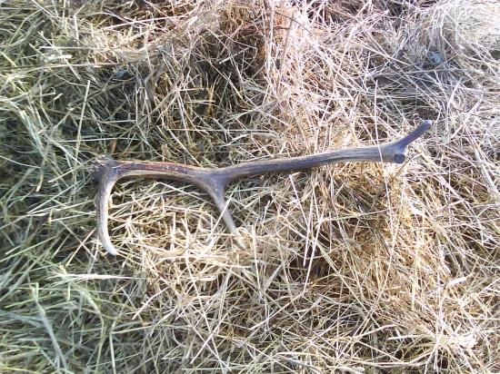 Konečne sa mi to podarilo