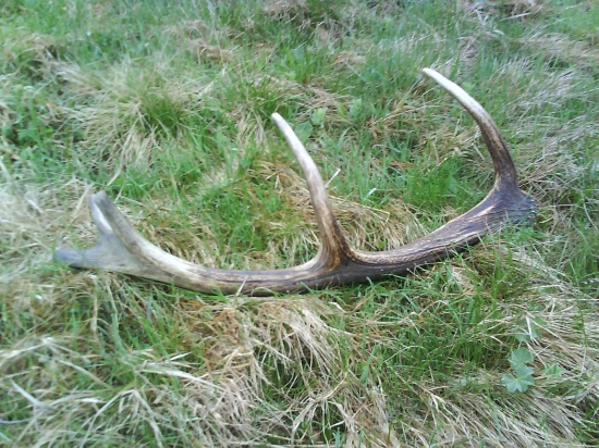 Po dlhšom čase ďalší.