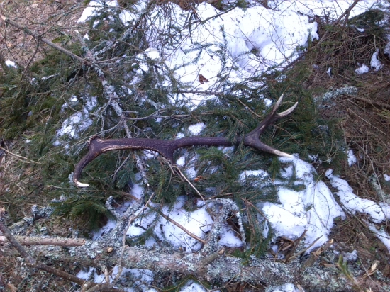 Dnešné ráno, ako na podnose