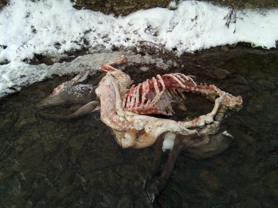 Veľa z nej nezostalo