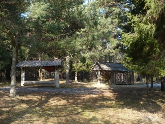 Takto to má po zime byť