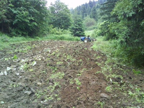 Príprava nového políčka