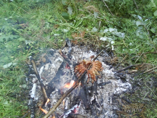 Asi najlepšia pochúťka v lese