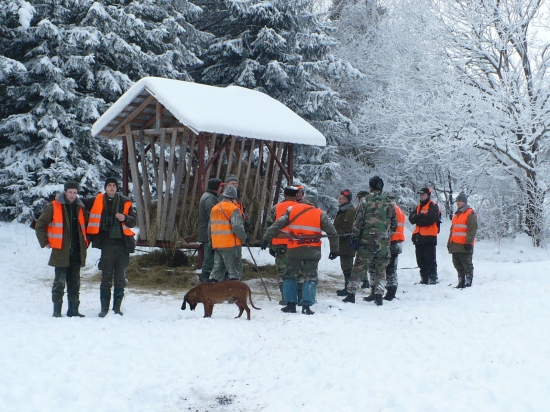 Pri krmelci po prvom hone