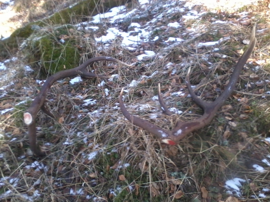 Tesne pred mojím príchodom...