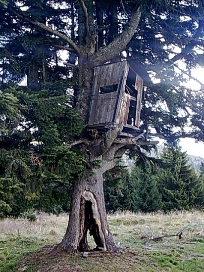 Chalupka na stračej nôžke