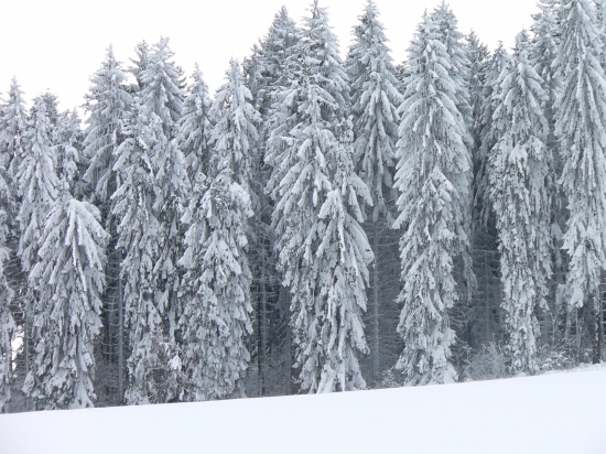 Zasněžená Šumava