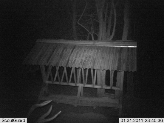 id foto 107119 a 107118