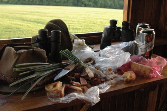 zaciatok postriezky..