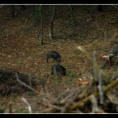 posledna spolocna fotka...