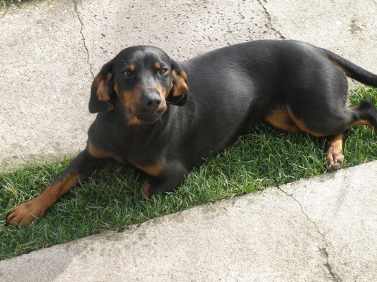 gara po prvej spolocnej...