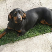 gara po prvej spolocnej...