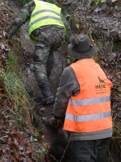 ked sa diviak sprieci!!!