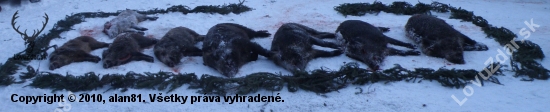 dnes sa zadarilo..
