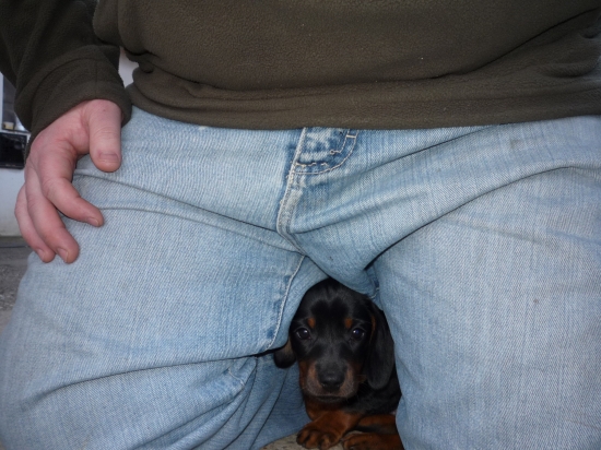 gara ked bola steniatko..