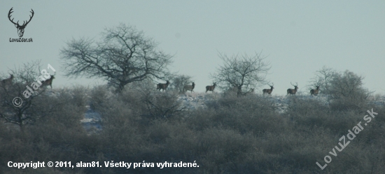 12 apostolov..